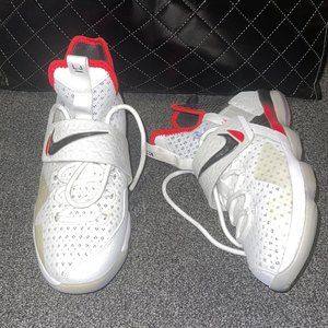 lebron james Nike sneakers